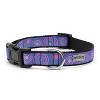 The Worthy Dog Sunburst Dog Collar - image 2 of 3