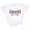 Simply Sage Market Statue Of Liberty America Front And Back Garment Dyed Tee - 3 of 4