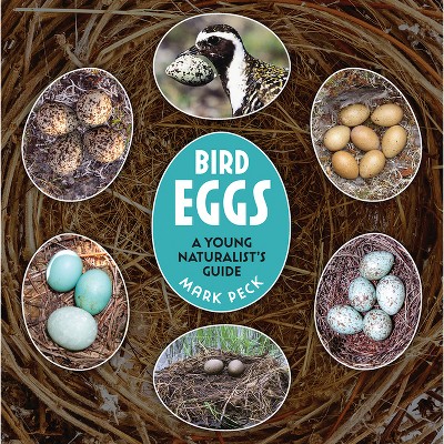 Bird Eggs - by Mark Peck