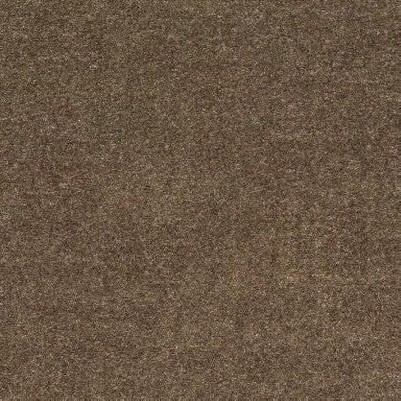 mocha