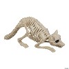 7 3/4" Raccoon Skeleton Plastic Outdoor Halloween Decoration - 2 of 3