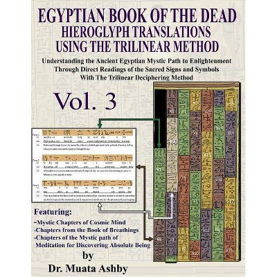 EGYPTIAN BOOK OF THE DEAD HIEROGLYPH TRANSLATIONS USING THE TRILINEAR METHOD Volume 3 - by  Muata Ashby (Paperback)