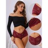 Allegra K Women's Full Coverage Transparent Lace Mid-Waisted Breathable Briefs - 3 of 4