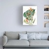 Trademark Fine Art -Kathleen Parr McKenna 'Botanical Birds of Paradise' Canvas Art - 2 of 4
