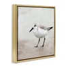 Stupell Industries Lone Sandpiper Bird Portrait, 18" x 18" - 3 of 4