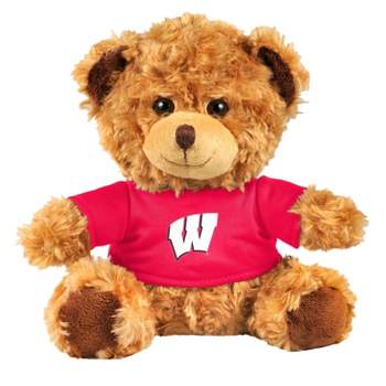 10" NCAA Wisconsin Badgers Shirt Bear with Kit
