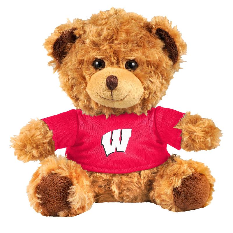 10&#34; NCAA Wisconsin Badgers Shirt Bear with Kit, 1 of 4