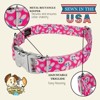 Country Brook Petz Premium Dog Collar - Spring Collection - 4 of 4