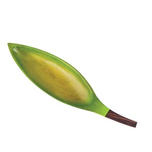Gallerie II Palm Leaf Tray - 1 of 1