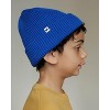 The Wrap Life | Satin Lined Beanie - 2 of 2