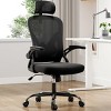 Fontoi Task and Office Chairs, Ergonomic Chair with Flip-up Armrests and Adjustable Lumbar Support for Home Office, Black, 23.43"*56.69"*23.43" - 3 of 4
