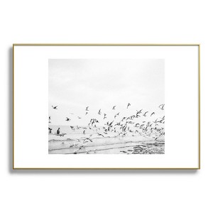 raisazwart Seagulls Coastal 24"x36" Gold Metal Framed Art Print - Deny Designs - 1 of 4