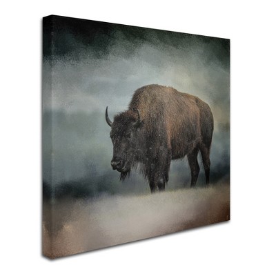 Trademark Fine Art -Jai Johnson 'Stormy Day Buffalo' Canvas Art