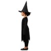 Princess Paradise Girl's Wanda the Witch Costume - 2 of 4