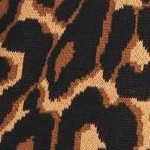 black soft camel animal