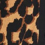 black soft camel animal