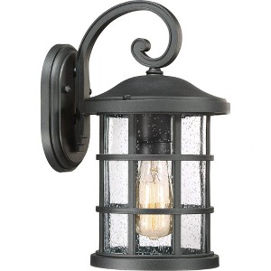 Quoizel Lighting Crusade 1 - Light Sconce in  Earth Black - 1 of 4