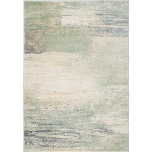 Adirondack ADR112 Non-Shedding Power Loomed Indoor Rugs - Safavieh - 1 of 4