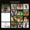 2026 Square Wall Calendar, German Shepherds, 16-Month Paw Prints Theme with 180 Reminder Stickers (12x12 In) - 4 of 4
