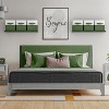 Sorbus 6 Pack 11" Two Tone Foldable Storage Cubes with Handles - Perfect for clothes, toys, books, linens, and more - 4 of 4