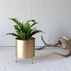 Raised Brass Metal Planter by Foreside Home & Garden - 2 of 4