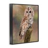 Stupell Industries Brown Tawny Owl Perched Intricate Woodland Wildlife Painting Framed Giclee Art - 2 of 4