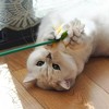 Tree City Energetic Cute Flower Creative Cat Teaser - 2 of 4
