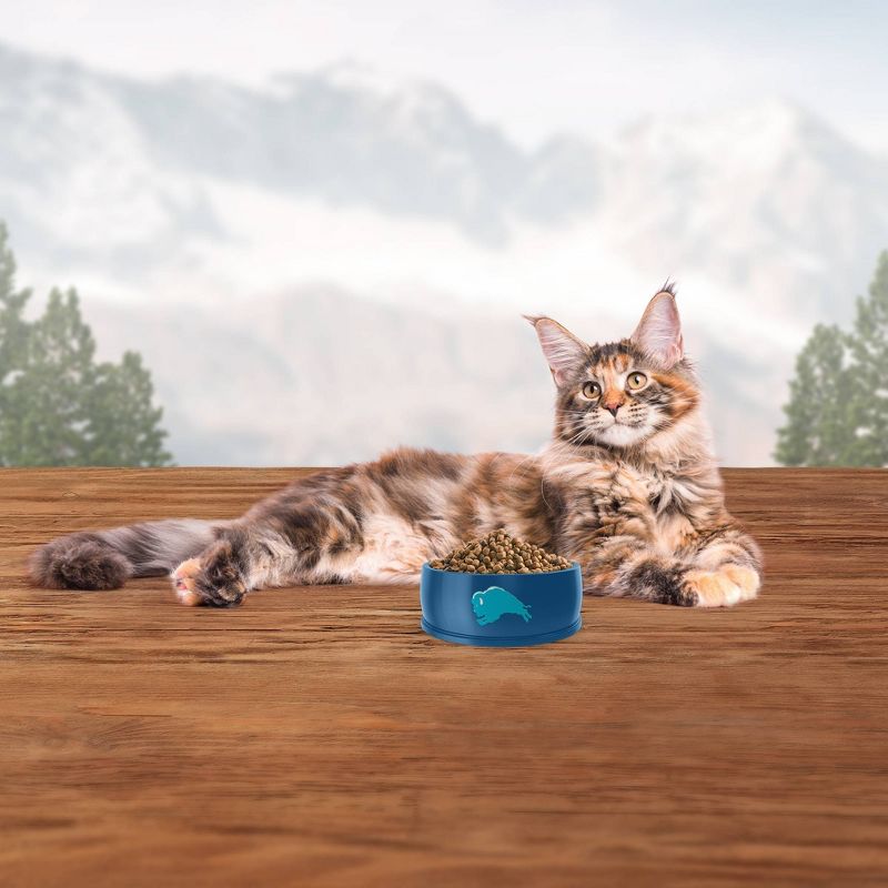 Blue Buffalo Wilderness Grain Free Indoor Hairball & Weight Control with Chicken Adult Premium Dry Cat Food, 6 of 7