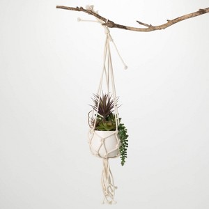 Sullivans Artificial Macrame Pendent Succulent Pot 12"H Green - 1 of 3