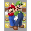 Boy's Nintendo Mario and Luigi Pull Over Hoodie - 2 of 4