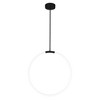 CWI Lighting Hoops 1 Light LED Chandelier With Black Finish - 4 of 4