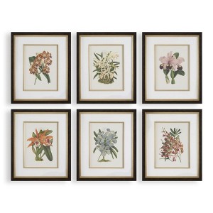 Uttermost Orchid Botanical Prints-Diverse Orchid Varieties in Gold Lined Frames, Set of 6 - 1 of 4