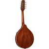 Kentucky KM-276 Deluxe Oval Hole A-Style Mandolin Transparent Brown - 2 of 4