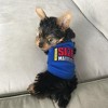 Parisian Pet 'Size Matters' Dog & Cat Shirt – Humorous Cotton T-Shirt, Stylish & Machine Washable Pet Clothing – Navy Blue - 3 of 3