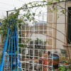 4 Pack 86.7"x19.7" Metal Garden Trellis, Rustproof Wire Lattice Panel, Outdoor Flower Support Trellis For Climbing Plants Roses Vine Cucumbers - 2 of 4