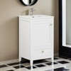 20" Bathroom Vanity with Sink, Bathroom Cabinet with Soft Closing Door, Storage Rack and A Drawer - Leovsnove - 2 of 4