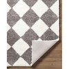 Hauteloom Achaia Dark Gray Area Rug - 4 of 4