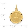 Black Bow Jewelry 14k Yellow Gold 10th Anniversary Circle Charm or Pendant, 15mm - 4 of 4