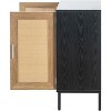 Acekool Rattan Storage Cabinet, 2-Door Sideboard with Metal Base, Modern Boho Accent Cabinet for Living Room, Entryway, Bathroom, Black - 4 of 4