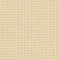 ivory/yellow