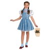 Kids' the Wizard of Oz Dorothy Halloween Costume Dress with Hair Bow - 2 of 4
