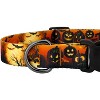 Country Brook Petz Deluxe Collar and Leash - Halloween Collection - 4 of 4