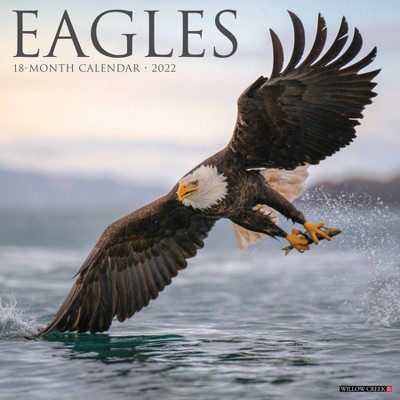 2022 Wall Calendar Eagles - Willow Creek Press