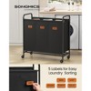 3-Section Rolling Laundry Hamper with Removable Bags, 44.9 Gallon Capacity Mobile Sorter Cart, Ink Black - 2 of 4