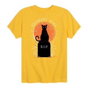 Boys' - Hocus Pocus - Binx Graveyard -Toddler and Youth Short Sleeve Graphic T-Shirt Short Sleeve Graphic T-Shirt - 1 of 4