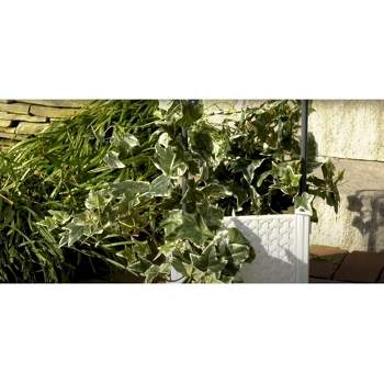 2pc Self-watering Wall Half-circle Indoor Outdoor Planter Pots 8x4.75 -  Room Essentials™ : Target