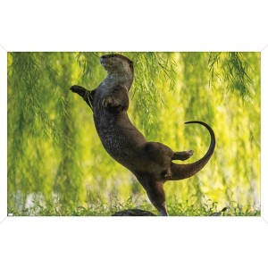 Trends International The Comedy Wildlife Photography Awards: Otter Kwek - Ballerina Framed Wall Poster Prints - 1 of 4
