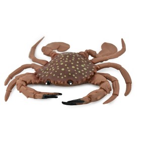 Collectible Wildlife Gifts | Crab, Young, Dungeness Crab, Rubber, Crustaceans, Realistic, Hand Painted,  Figurine,  Gift,      5 1/2"       F466 B4 - 1 of 4