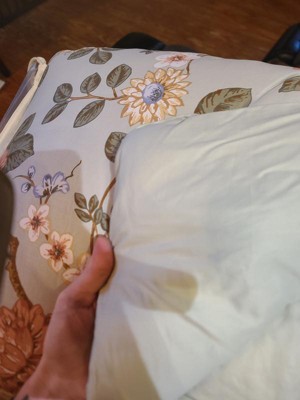 Guest review image 1 of 2, zoom in