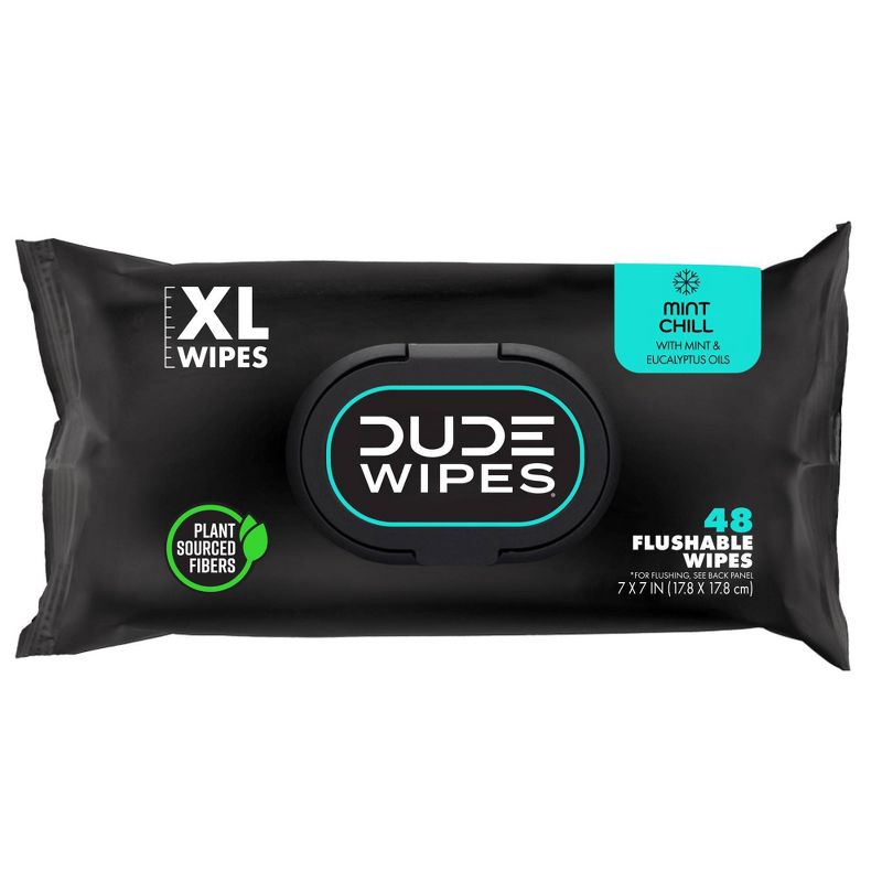 Dude Wipes Mint Chill Flushable Wipes - 3pk/48ct, 3 of 10